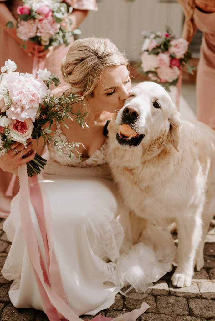 bride kissing golden retriever dog 